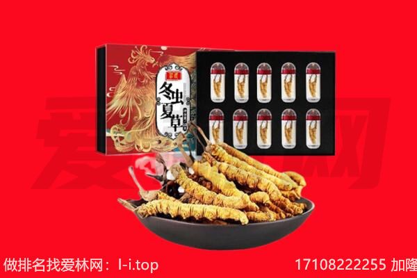 宁津县回收虫草.jpg